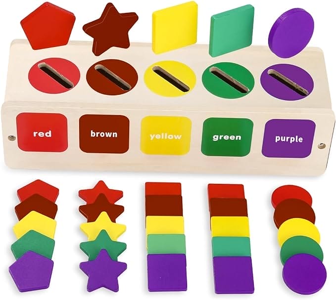 Montessori Baby Speelgoed 1, 2-3 jaar oud, stapelbaar, kleur matching, geclassificeerde kleur vormen, 30 educatieve spelletjes, educatieve speelgoed als geschenken voor 2-jarige jongens en meisjes